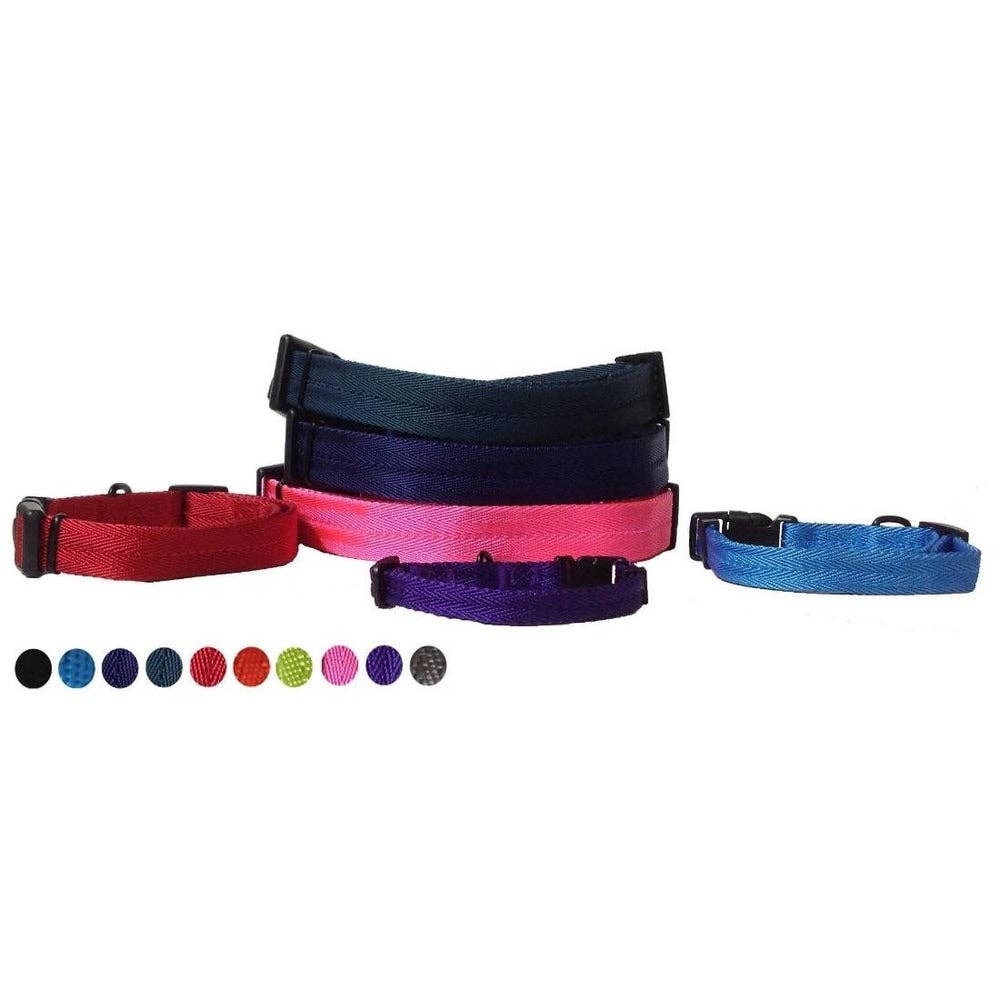 Nylon Flat Collar: Cyan / 13-20" / 3/4"