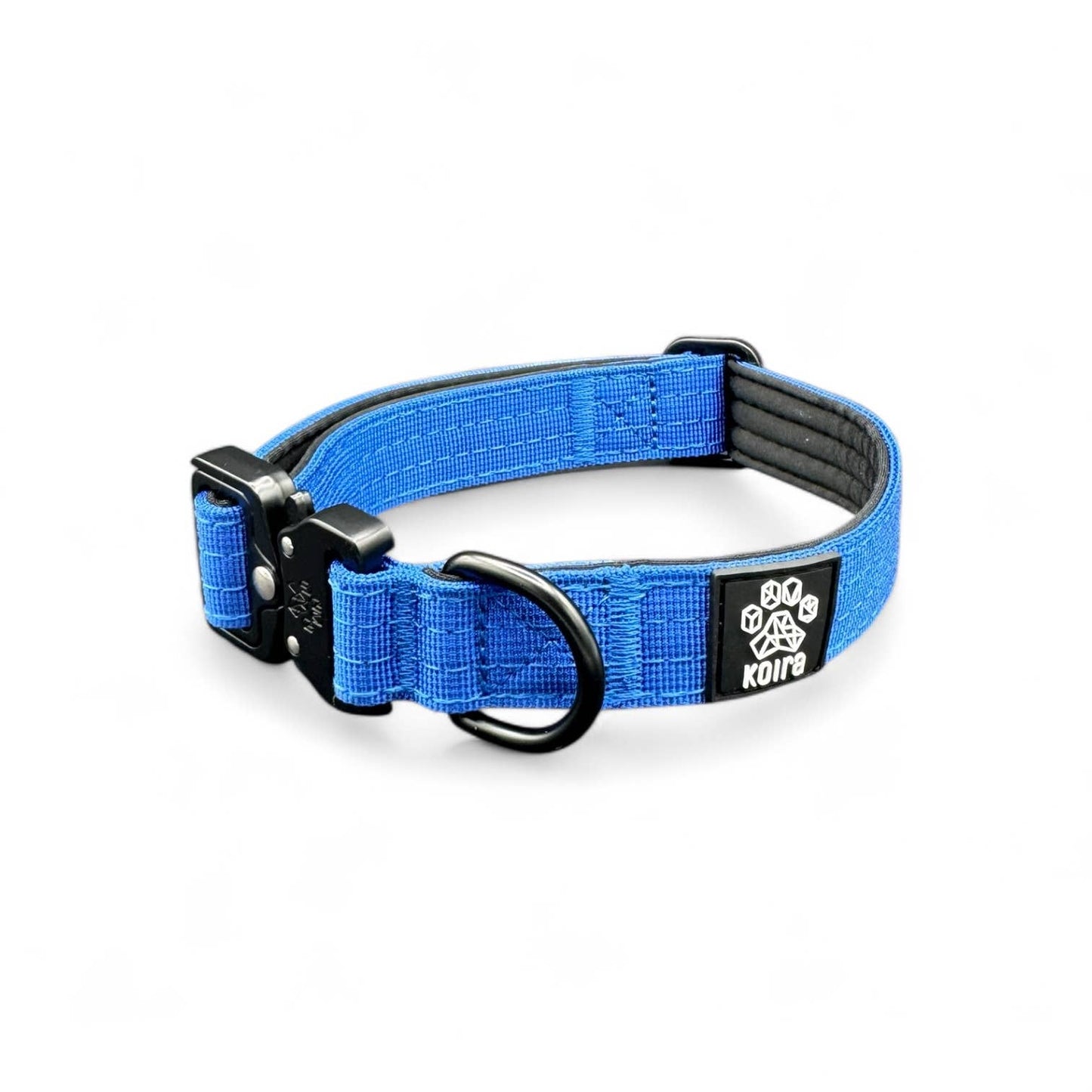 Durable Blue Nylon Dog Collar with Metal Buckle: Small: 1" x 11"–16"
