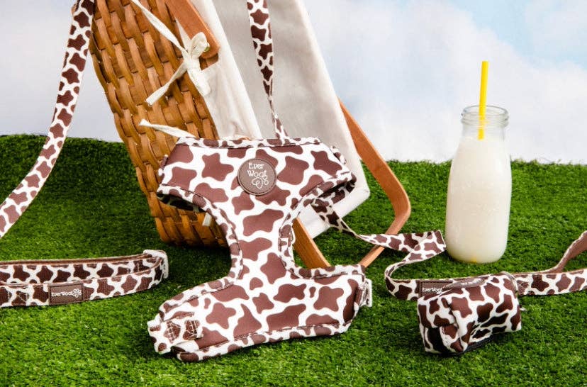 Chocolate Cow Adjustable Harness: Large