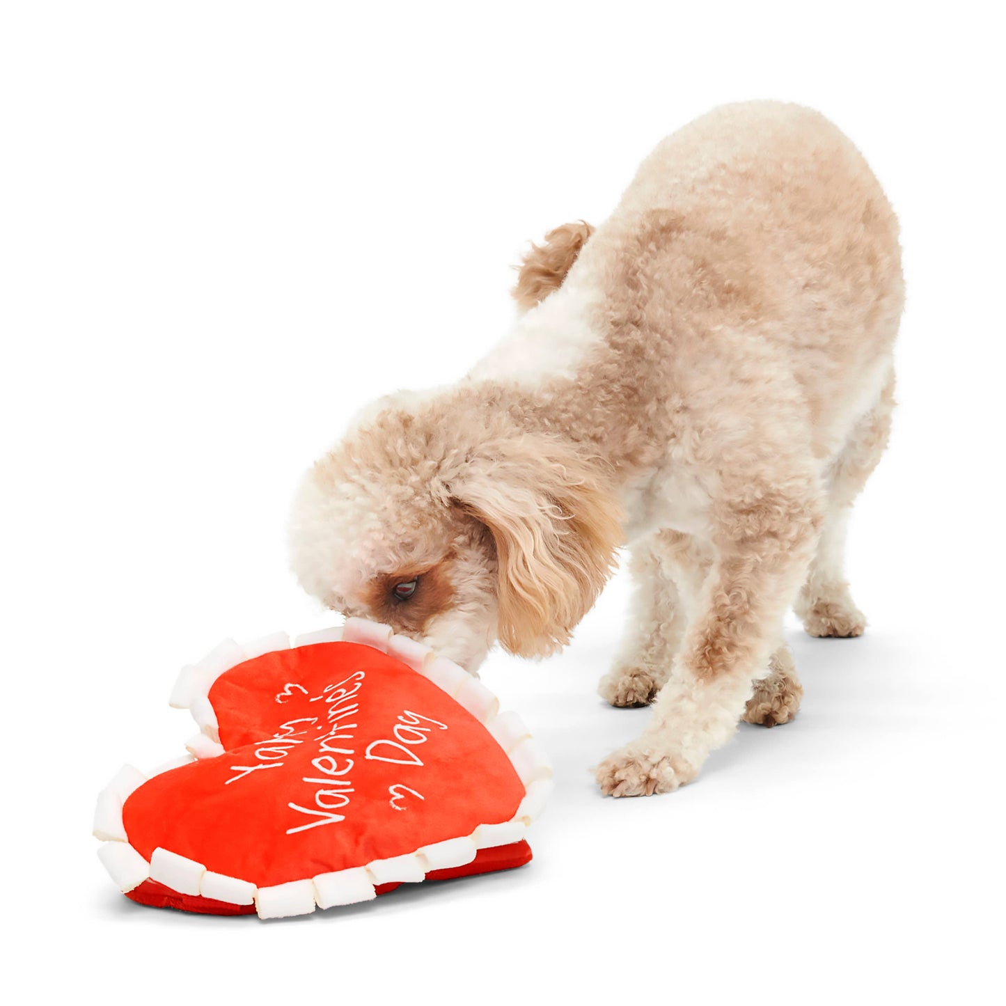 Valentine's Be Mine Growlentine Plush Dog Toy M/L | BARK
