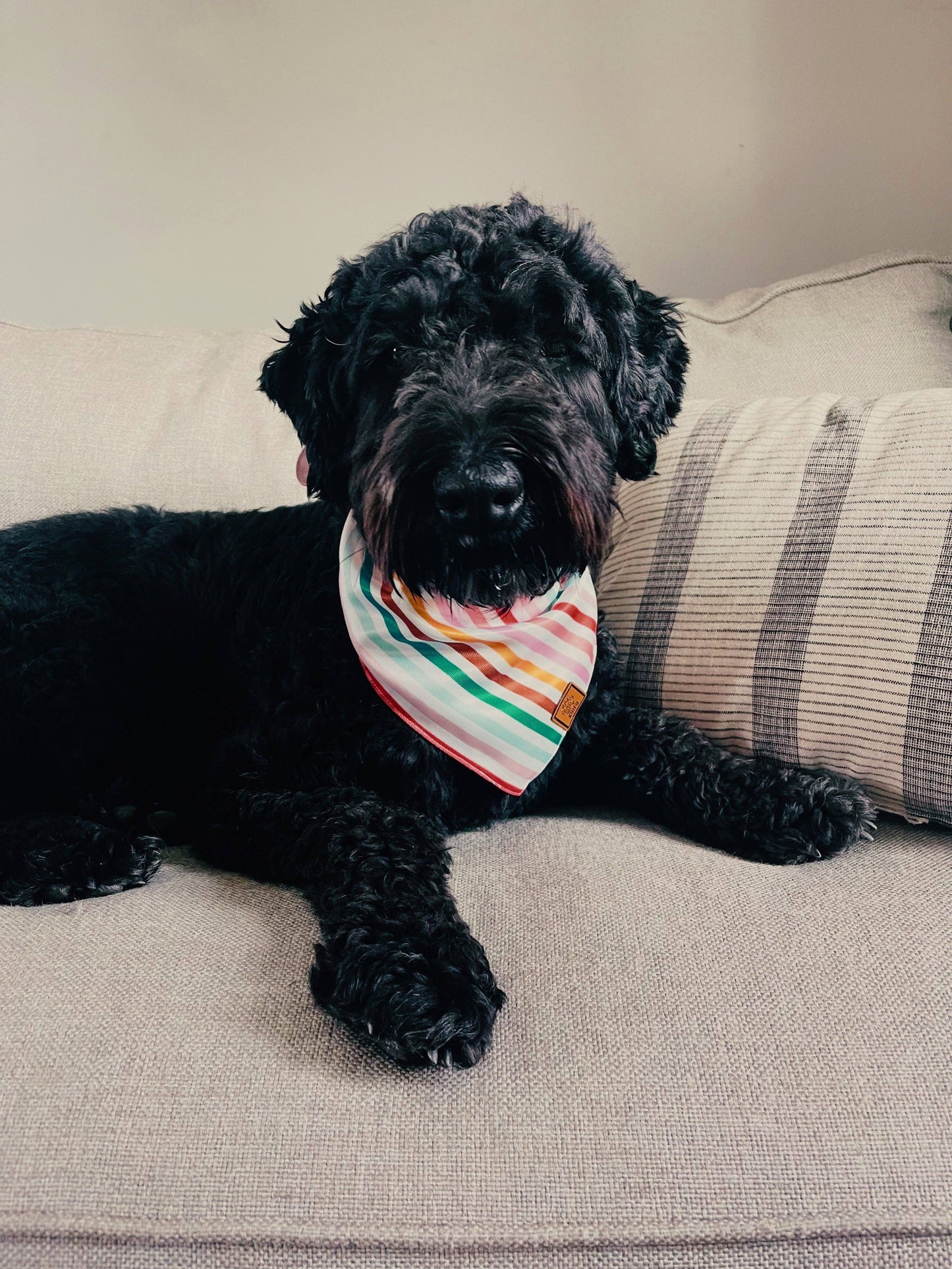 Yellow Flower Dog Bandana : Large