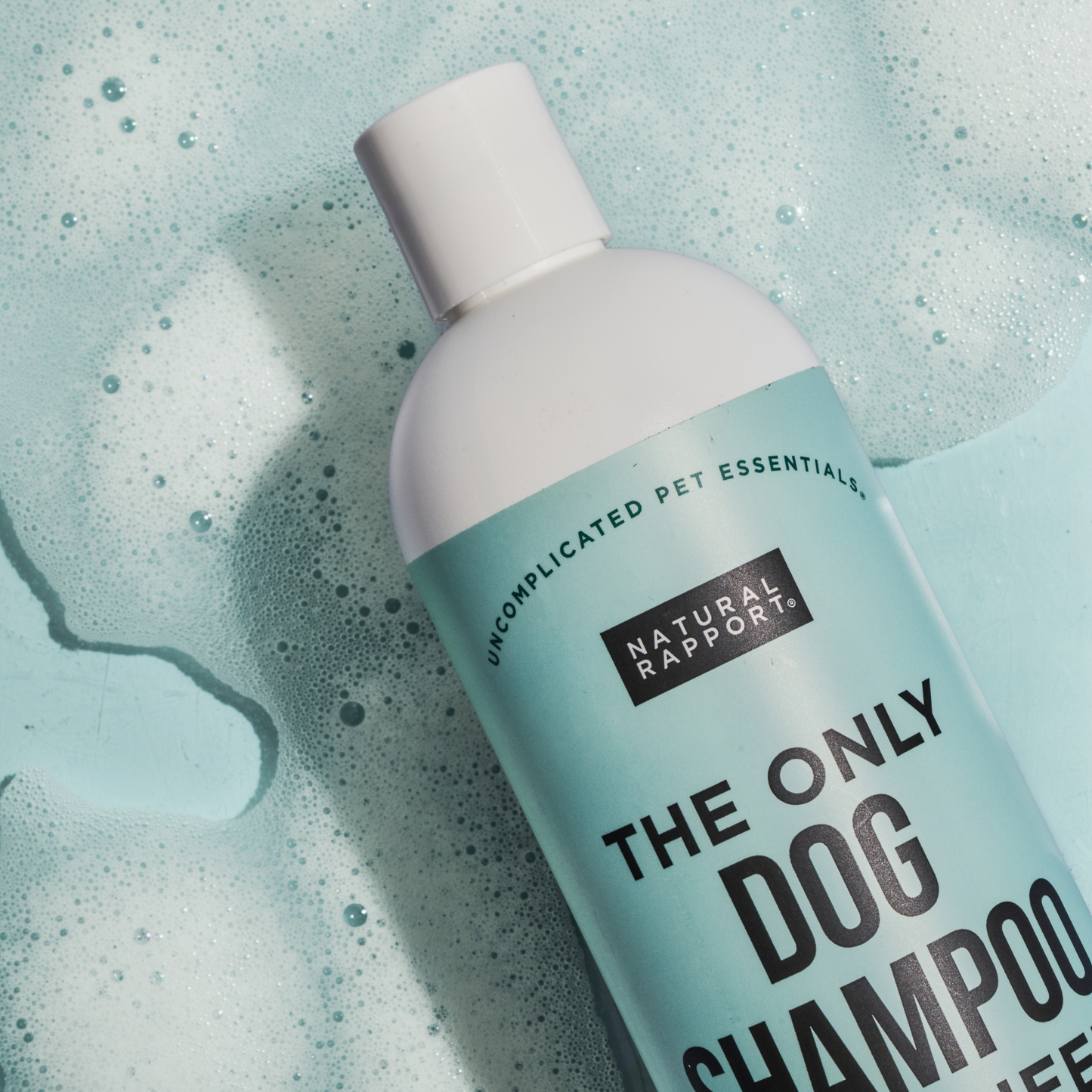 The Only Dog Shampoo Dogs Need: 16 ounce