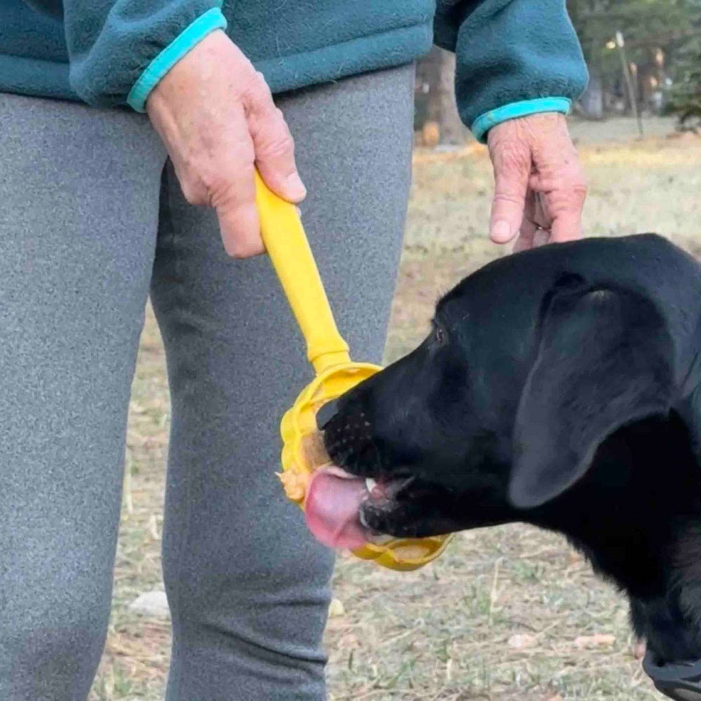Lick Stick Hand-Held Interactive Enrichment Toys: Beehive Lick Stick - yellow