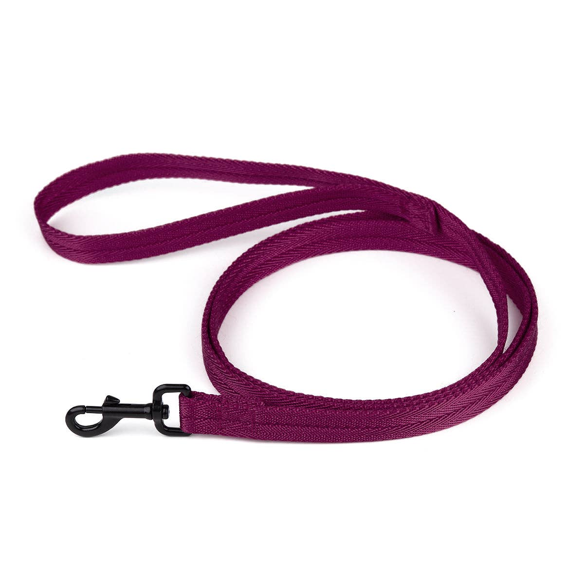Nylon Flat Leash: Cyan / 4' / 5/8"