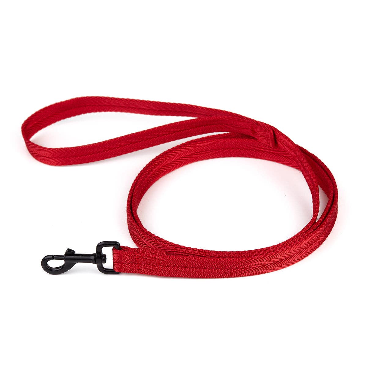 Nylon Flat Leash: Cyan / 4' / 5/8"