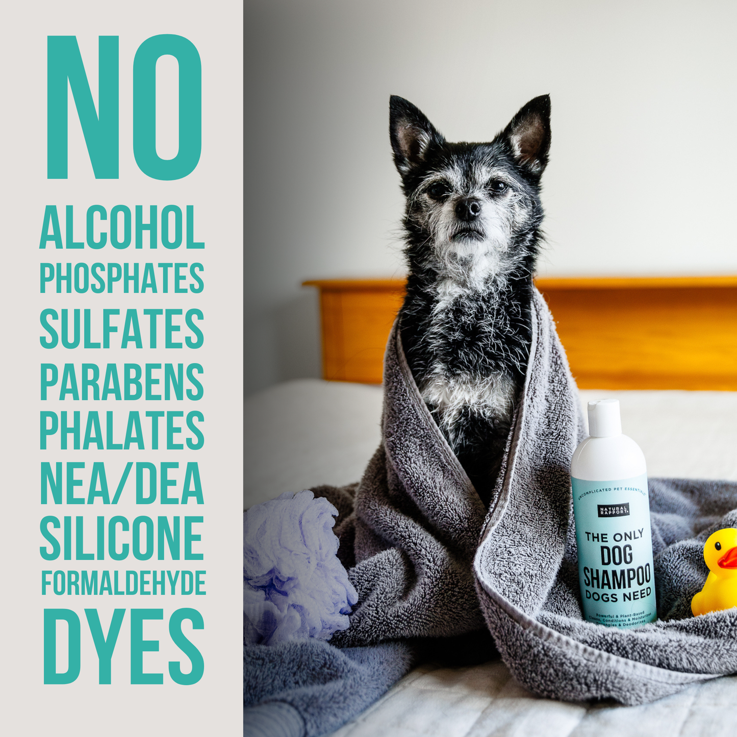 The Only Dog Shampoo Dogs Need: 16 ounce