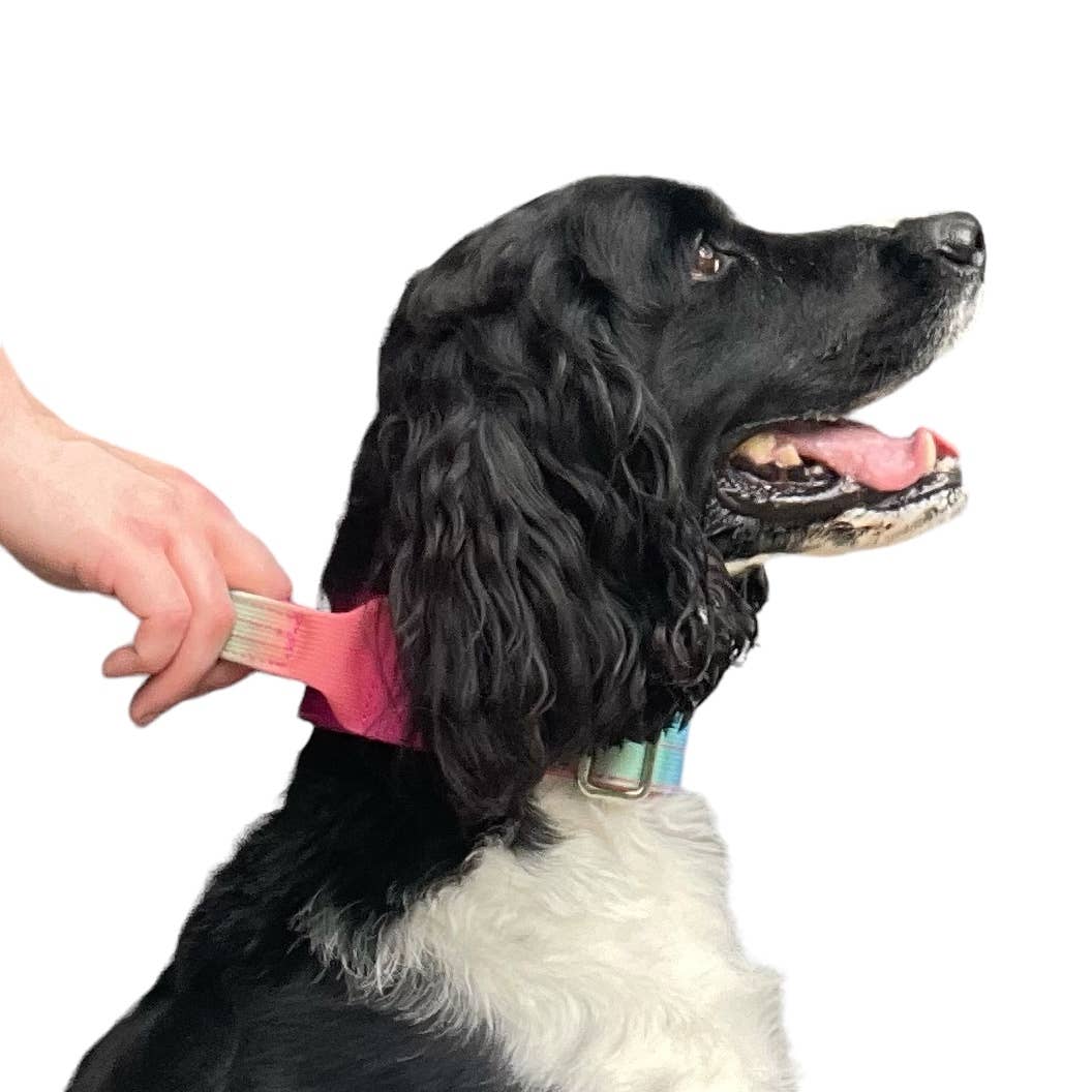 Tactical-Style Dog Collar Medium 2”: Pink to Purple Gradient | Koira