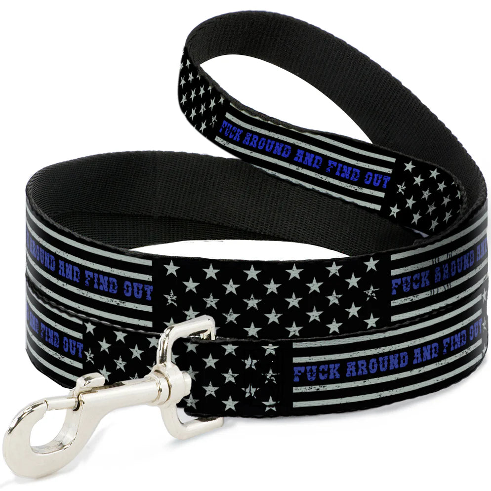 Buckle-Down Dog Leash Blue FAFO 4ft