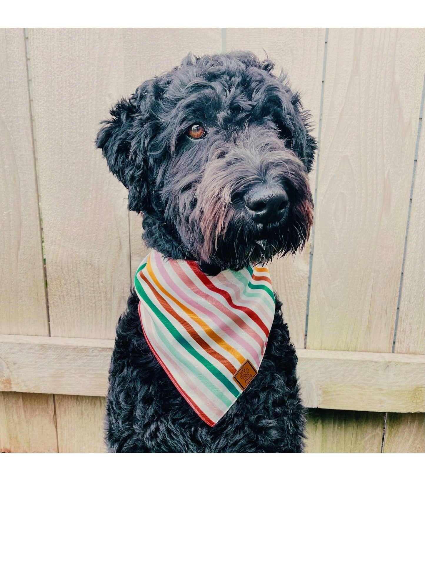 Yellow Flower Dog Bandana : Large