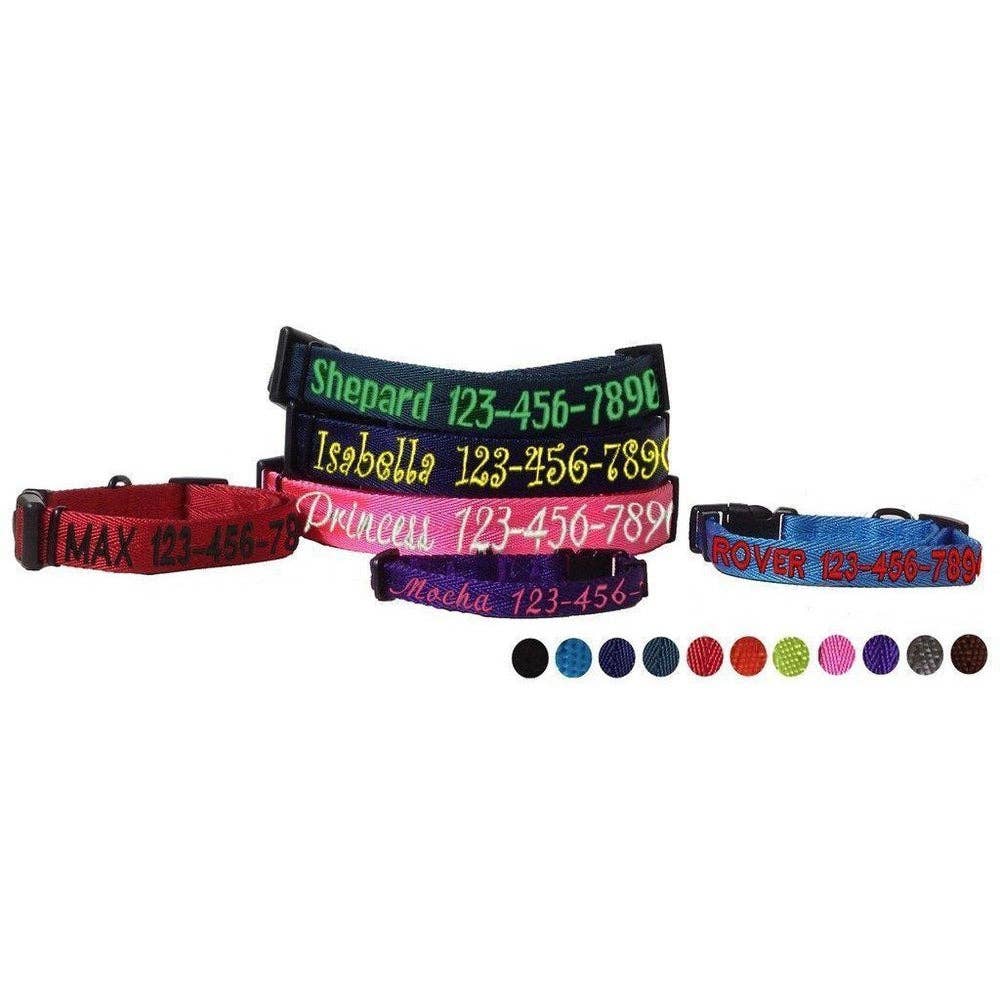 Nylon Flat Collar: Cyan / 13-20" / 3/4"