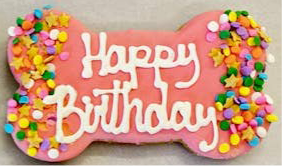 Happy Birthday Fido!: Gotcha Day Bone 4.75" Packaged