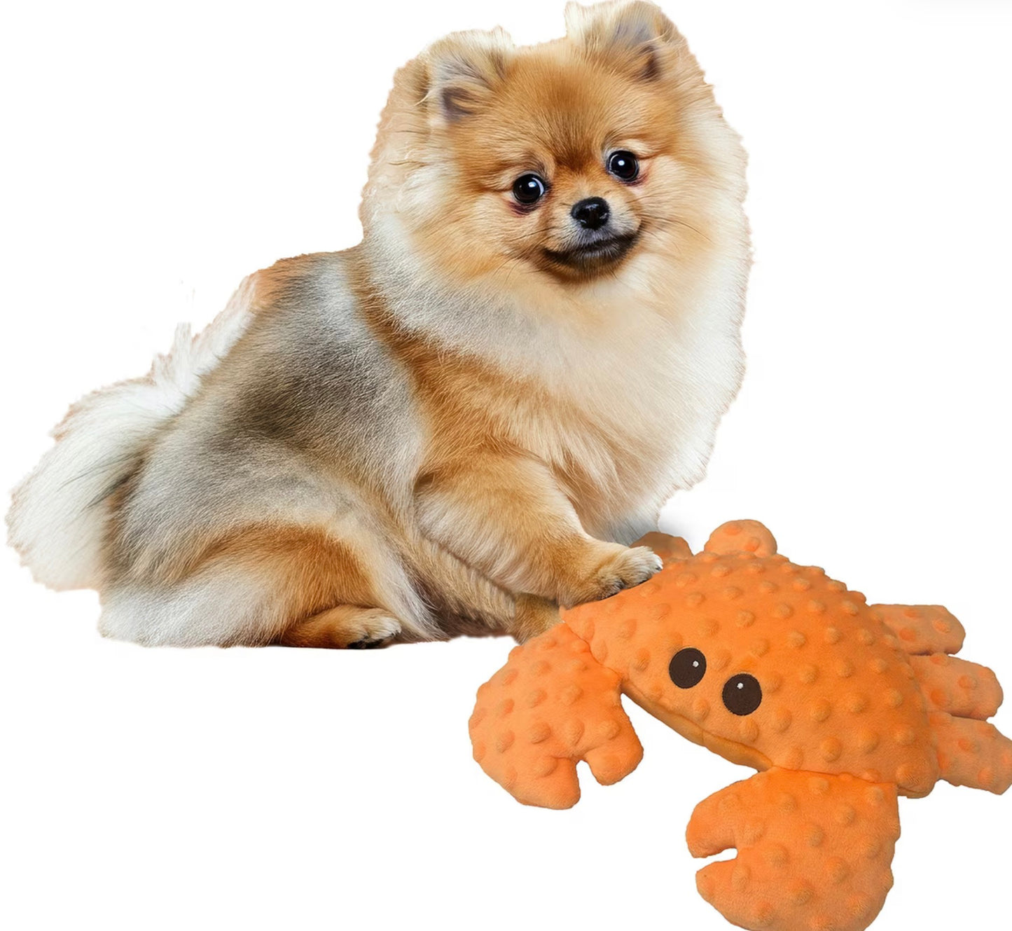 Orange Crab Plush Toy | Petlou