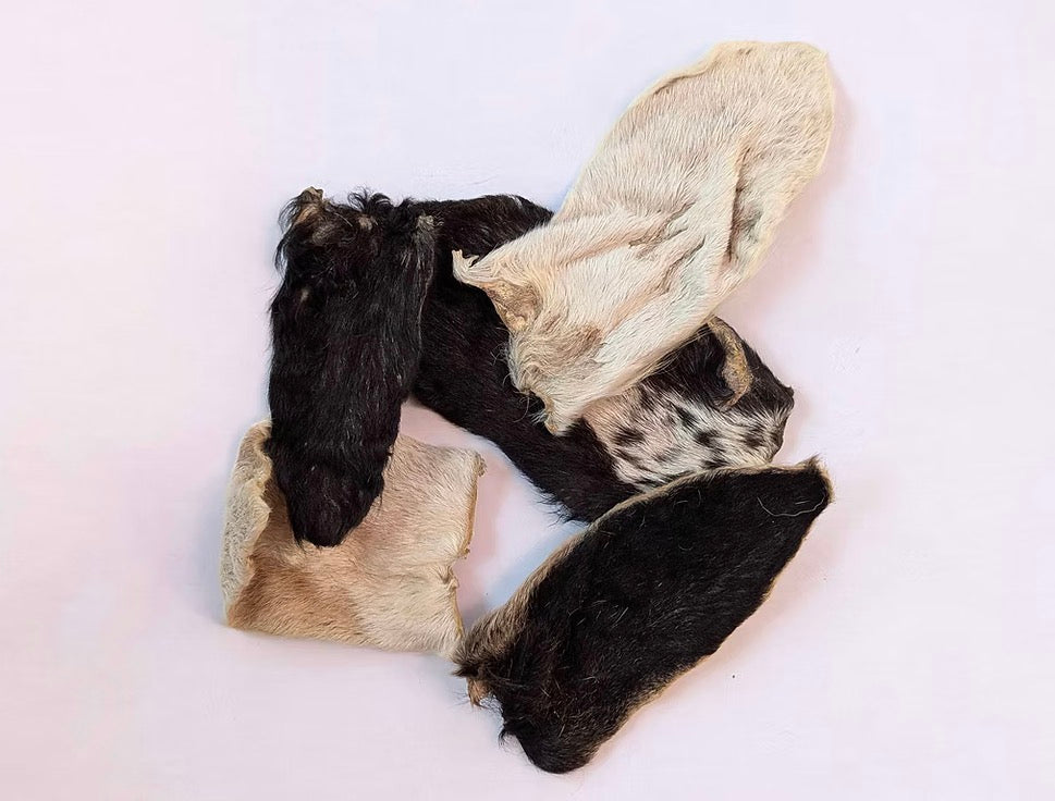 Hairy Goat Ears Chews