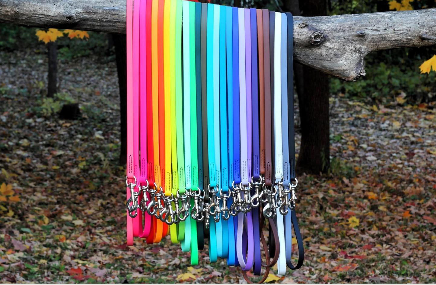 PRO-MOHS BIOTHANE LEASH 6FT 3/4in