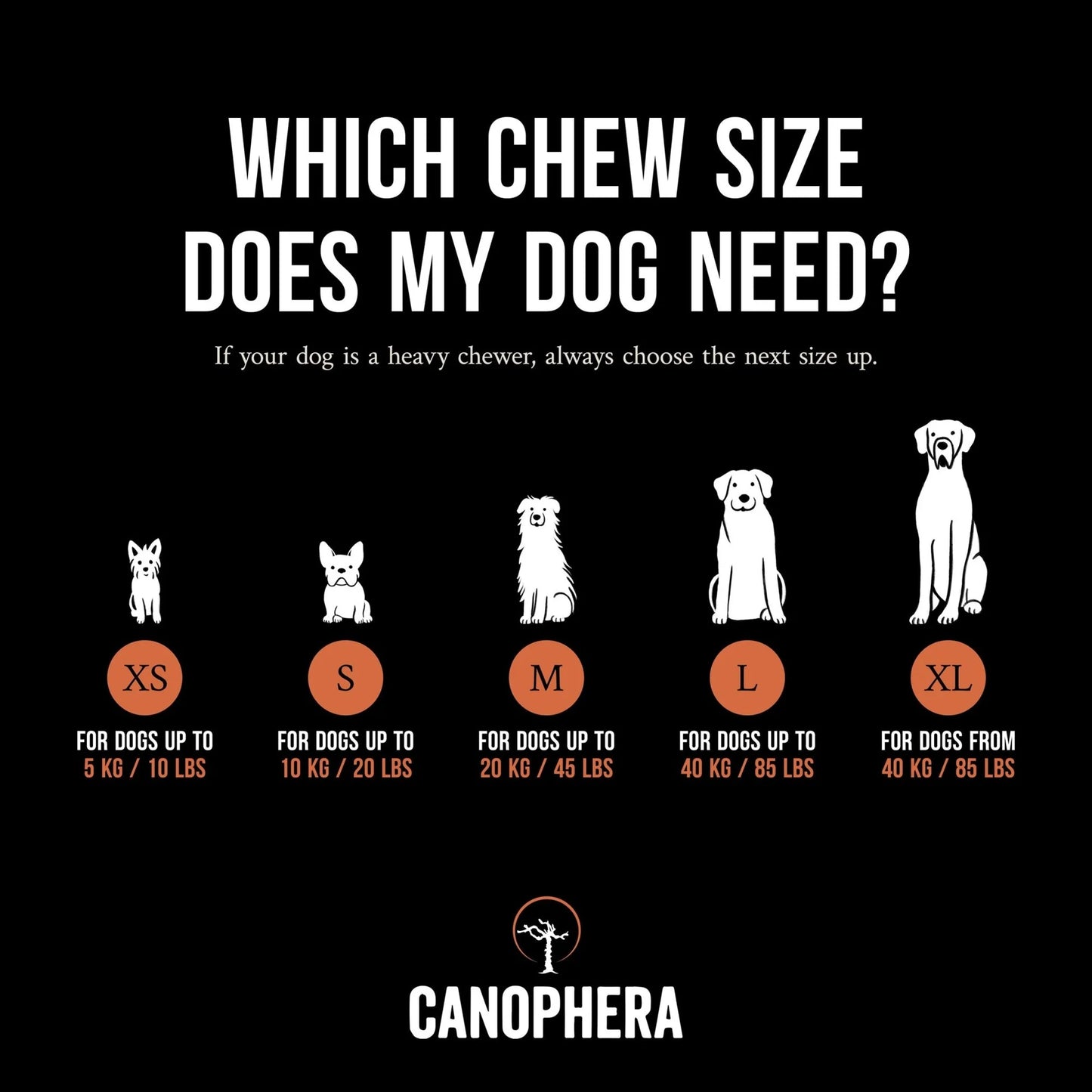 CANOPHERA BRIAR ROOT XS