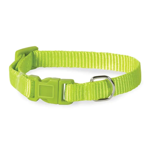 CASUAL CANINE NYLON COLLAR-GREEN 14”-20”