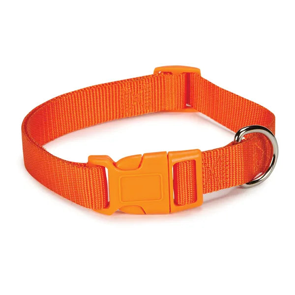 CASUAL CANINE NYLON COLLAR- ORANGE 6”-10”