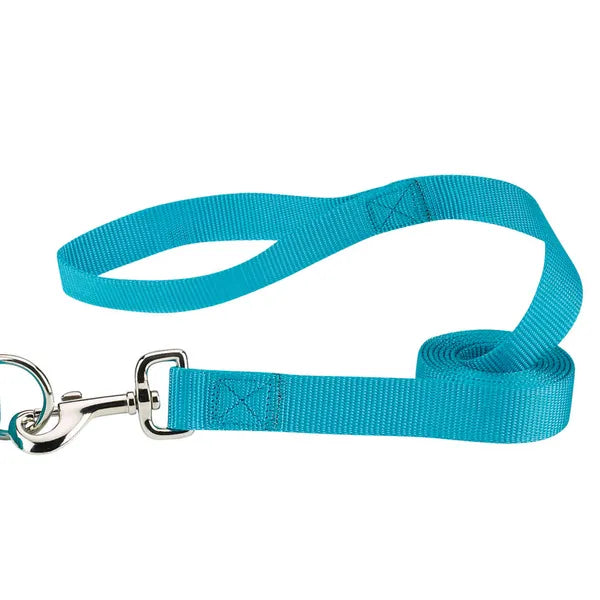 CASUAL CANINE NYLON LEASH-BLUE 6’x1”