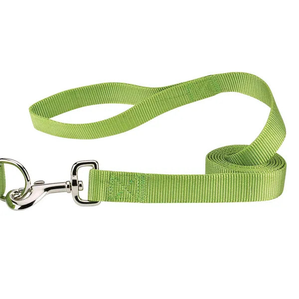 CASUAL CANINE NYLON LEASH-GREEN 6’x1”