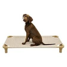 4legs4pets- Custom Place Cot- 40x22