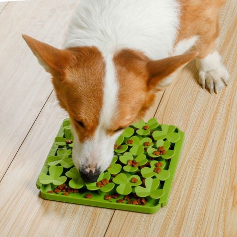Clover Foraging Mat | Tall Tails