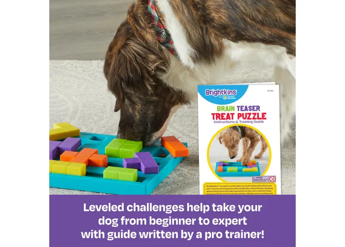 Brain Teaser Treat Puzzle | Brightkins