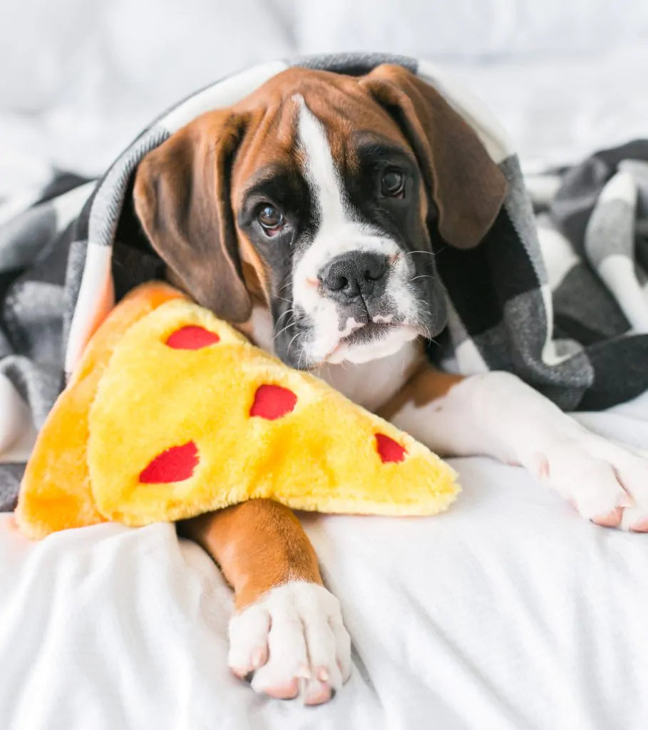 NomNomz- Pizza | ZippyPaws