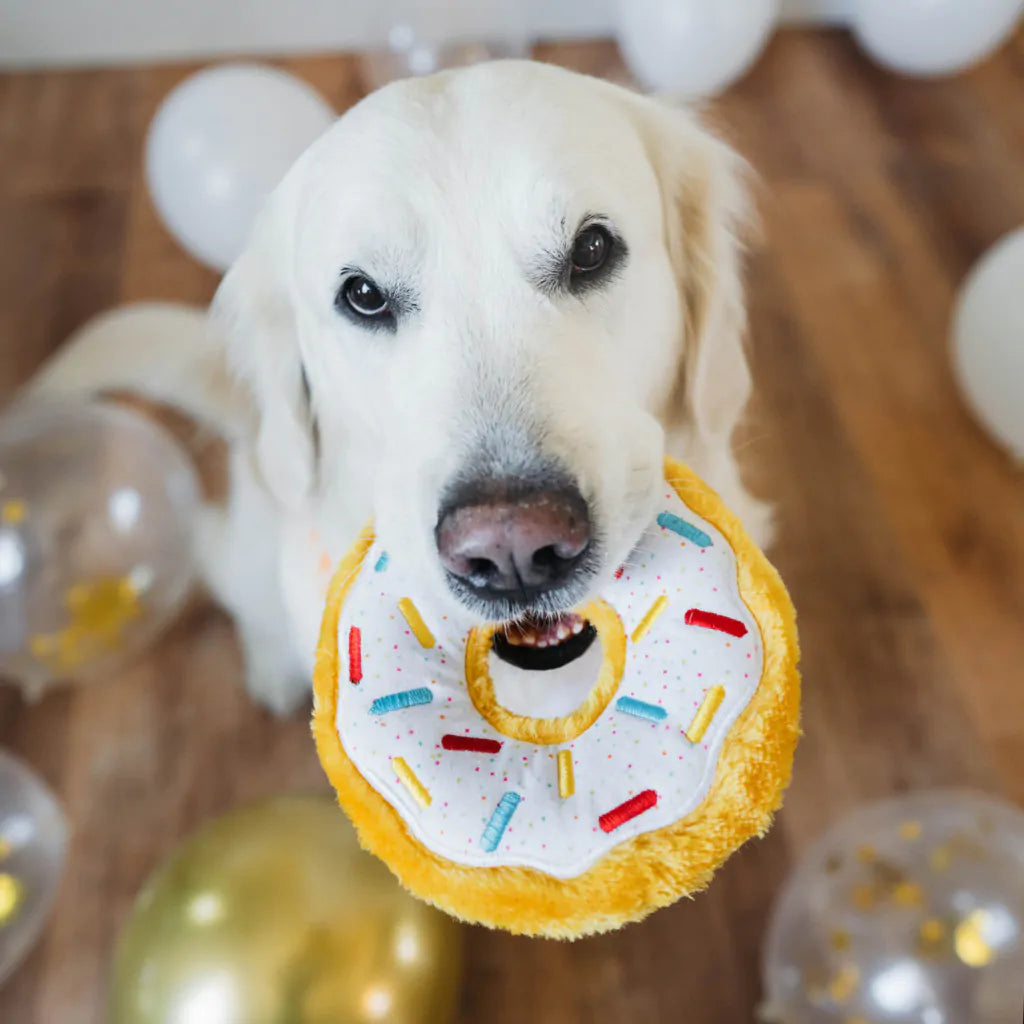 Donutz - Birthday