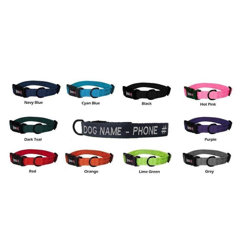 Nylon Flat Collar: Cyan / 13-20" / 3/4"