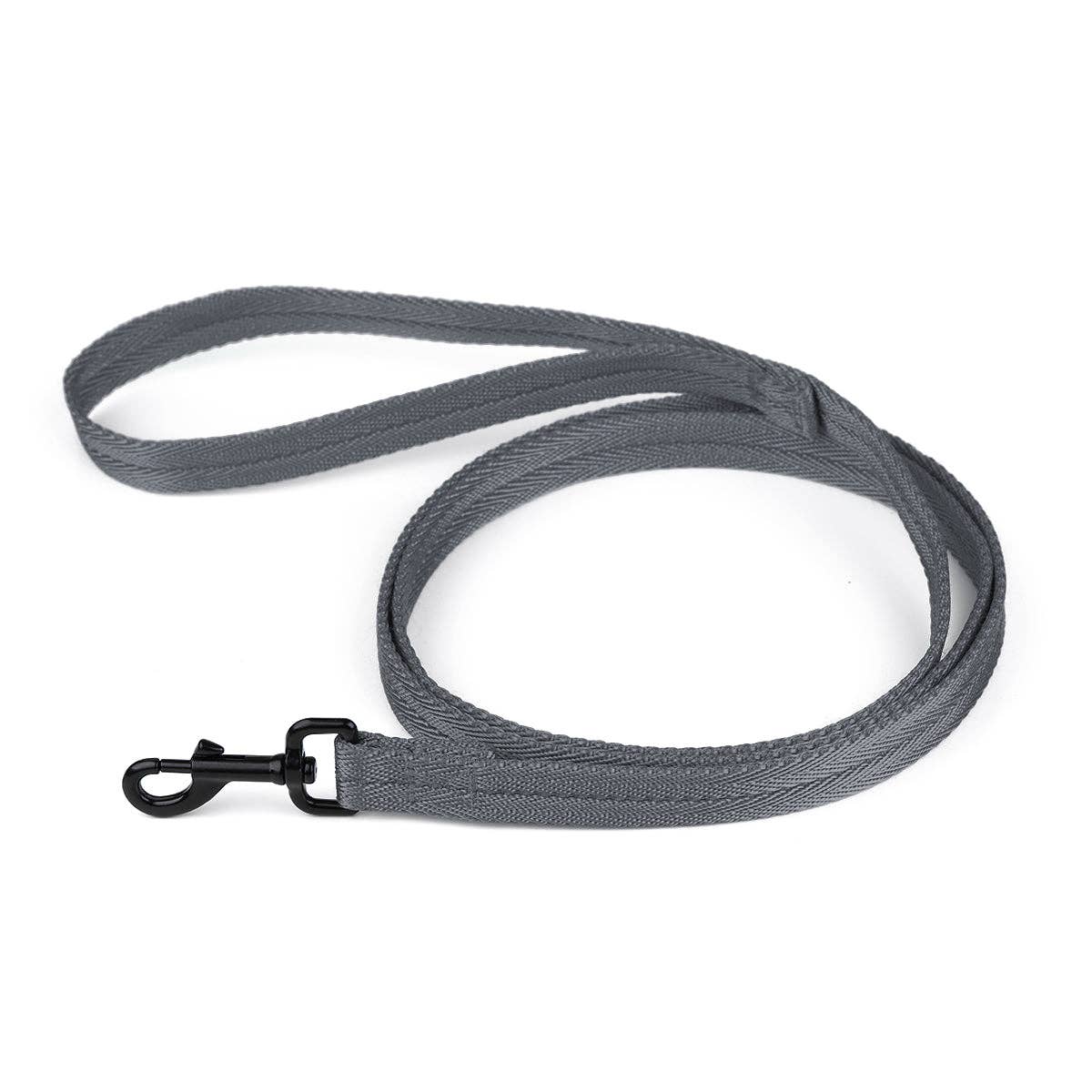 Nylon Flat Leash: Cyan / 4' / 5/8"
