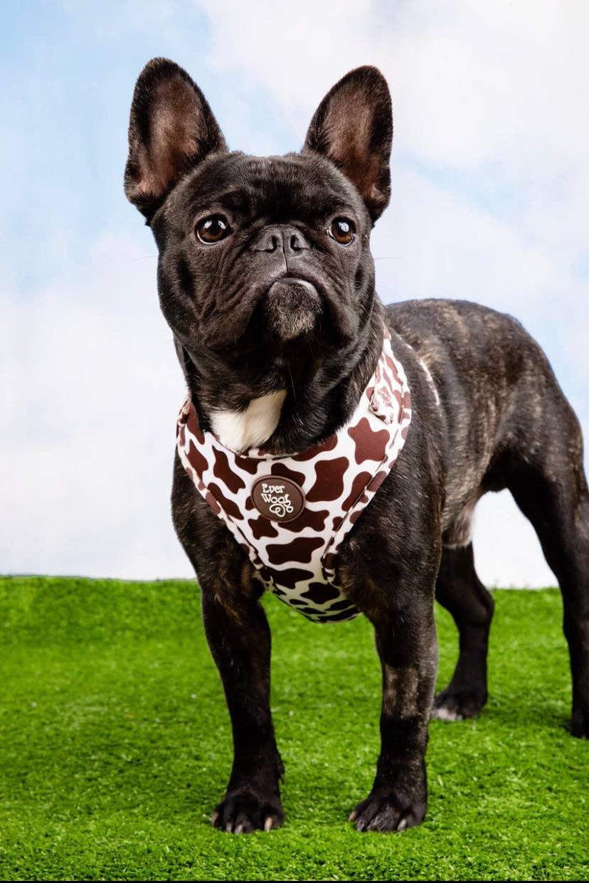 Chocolate Cow Adjustable Harness: Large