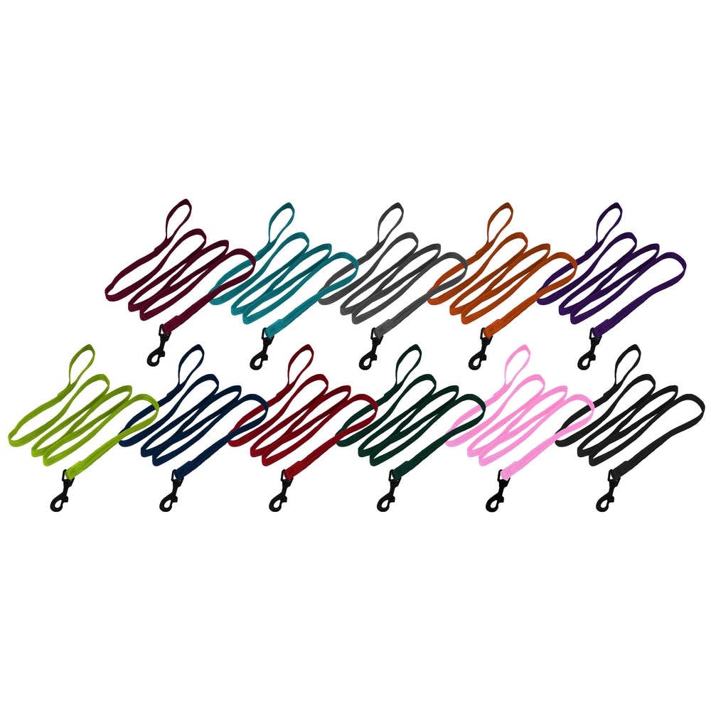 Nylon Flat Leash: Hot Pink / 4' / 5/8"