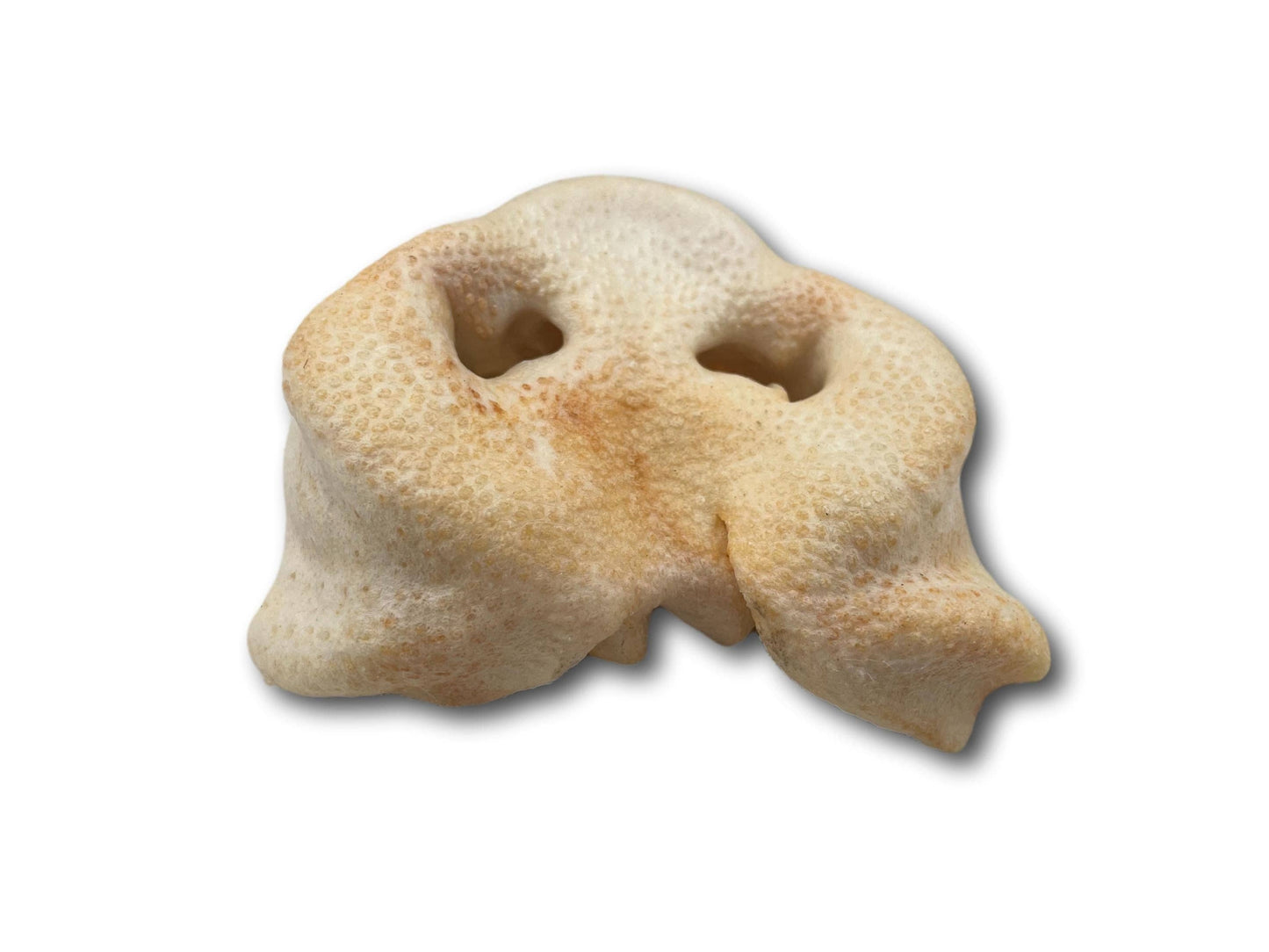 Pig Snout (PE0101SN): Unit