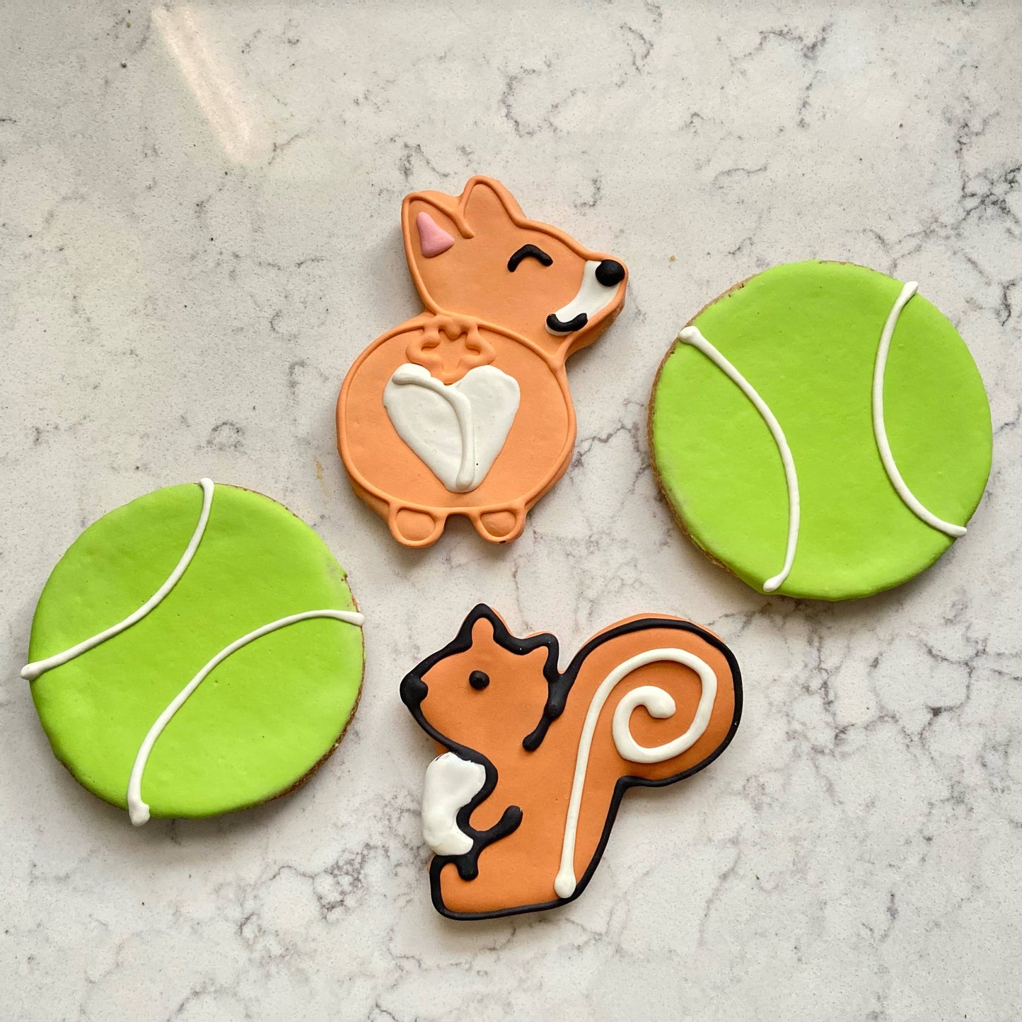 All the Dog Things: Squirrel Cookie