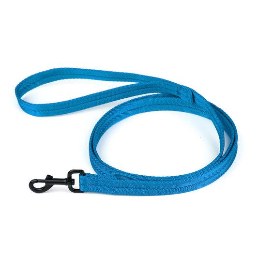 Nylon Flat Leash: Cyan / 4' / 5/8"