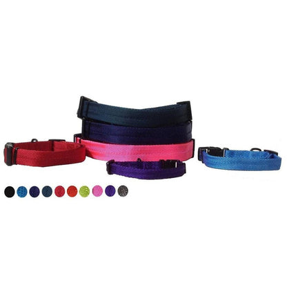 Nylon Flat Collar: Cyan / 9-13" / 3/8"