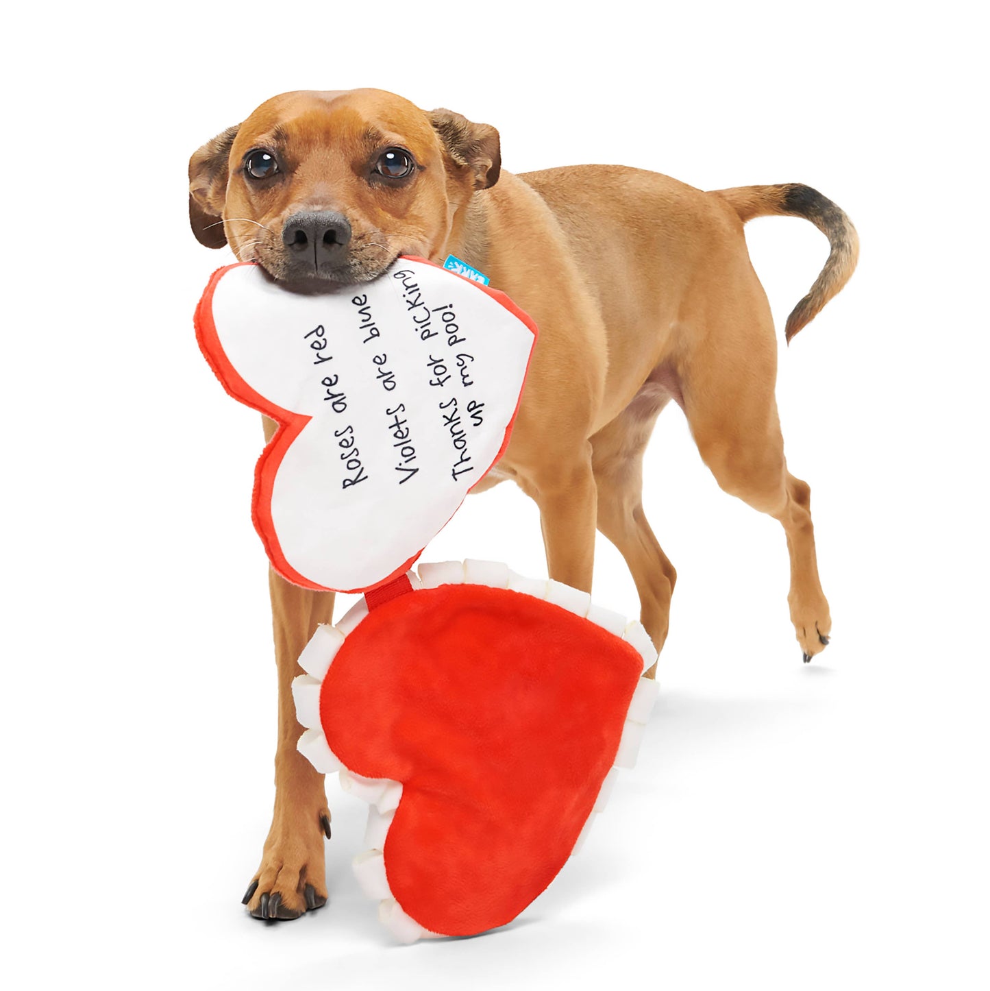 Valentine's Be Mine Growlentine Plush Dog Toy M/L | BARK
