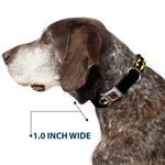 Buckle-Down Dog Collar 15”-26” Batman