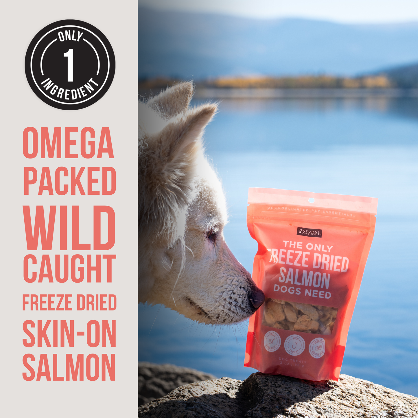 The Only Freeze Dried Salmon Dogs Need: 3 oz
