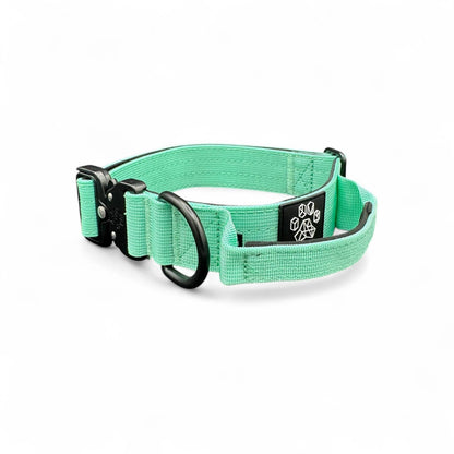 Mint Tactical Style Dog Collar: Medium: 1.5" x 13"-20"