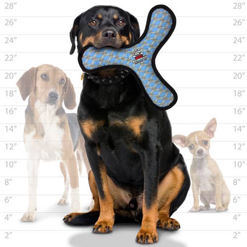 Tuffy Mega Boomerang Chain, Durable, Tough, Squeaky Dog Toy