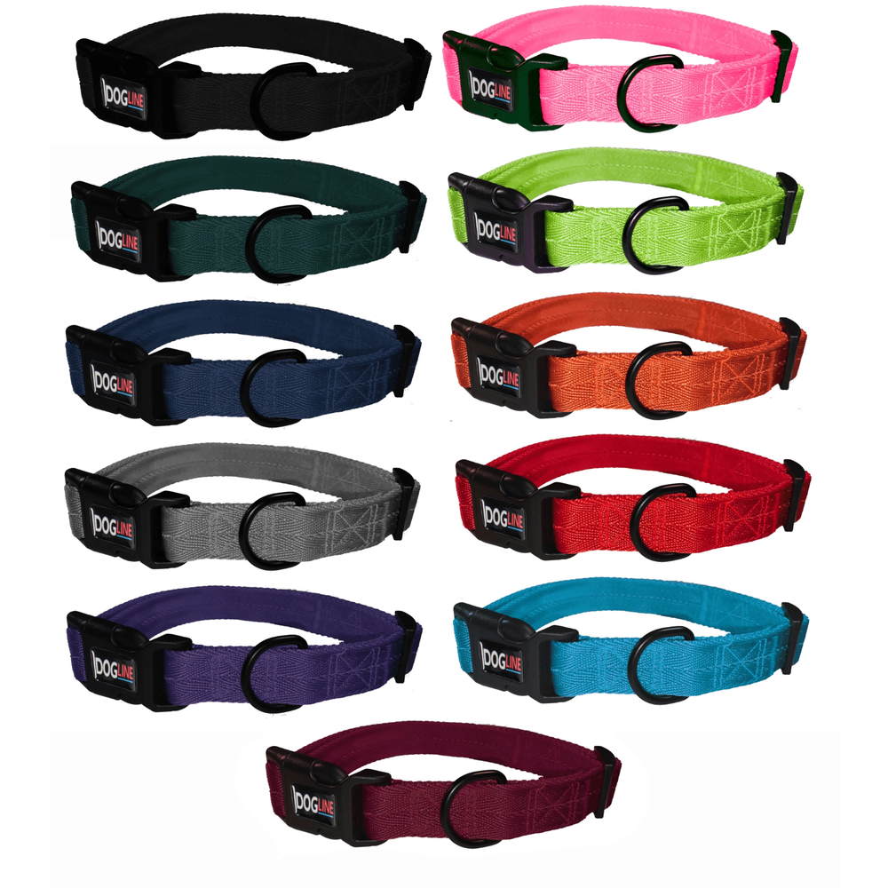 Nylon Flat Collar: Lime Green / 13-20" / 3/4"