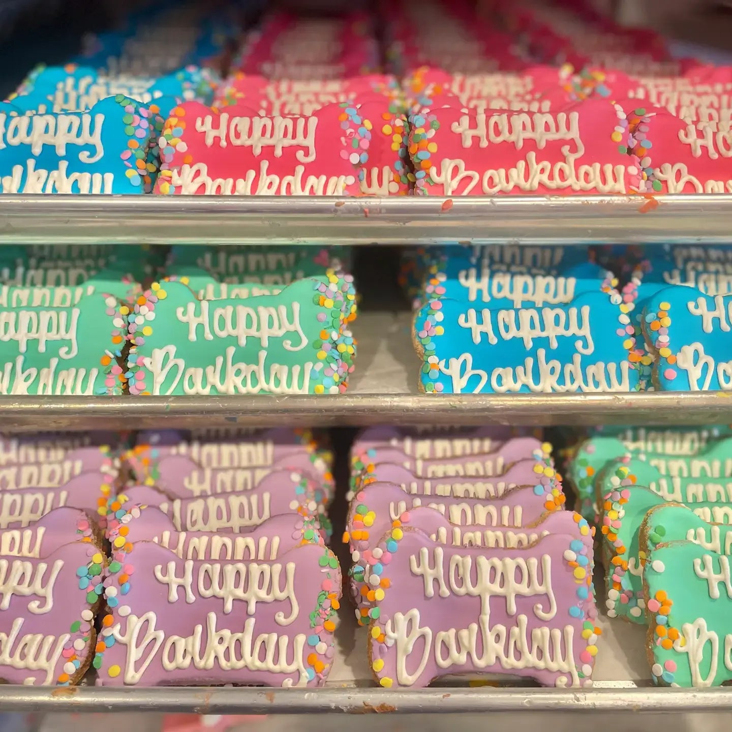 Happy Barkday Bone Assorted: Barkday Asst Colors