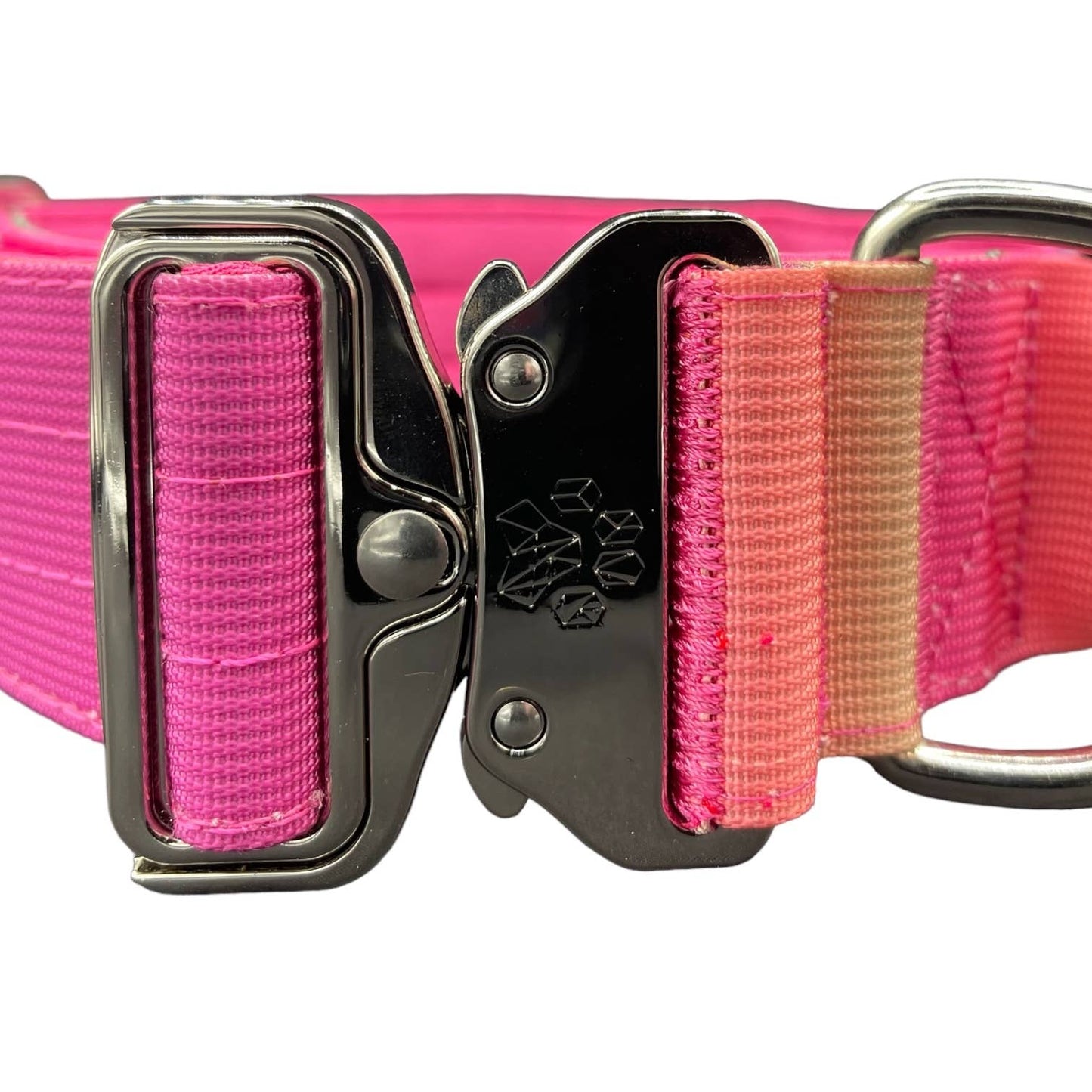 Tactical Dog Collar Pink to Purple Gradient (2"/ 5cm): Medium