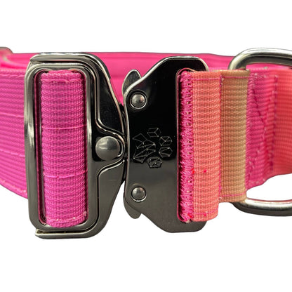 Tactical Dog Collar Pink to Purple Gradient (2"/ 5cm): Medium