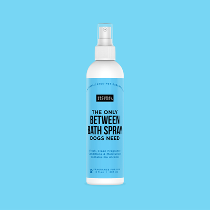 The Only Between Bath Spray Dogs Need - Amber & Sandalwood: 8 ounce