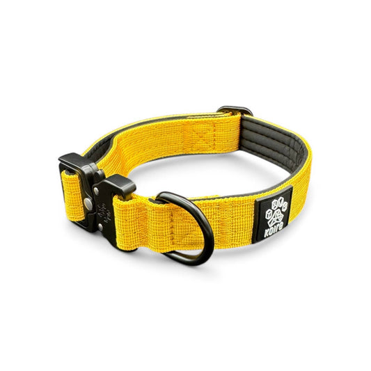 Durable Yellow Nylon Dog Collar with Metal Buckle: Small: 1" x 11"–16"