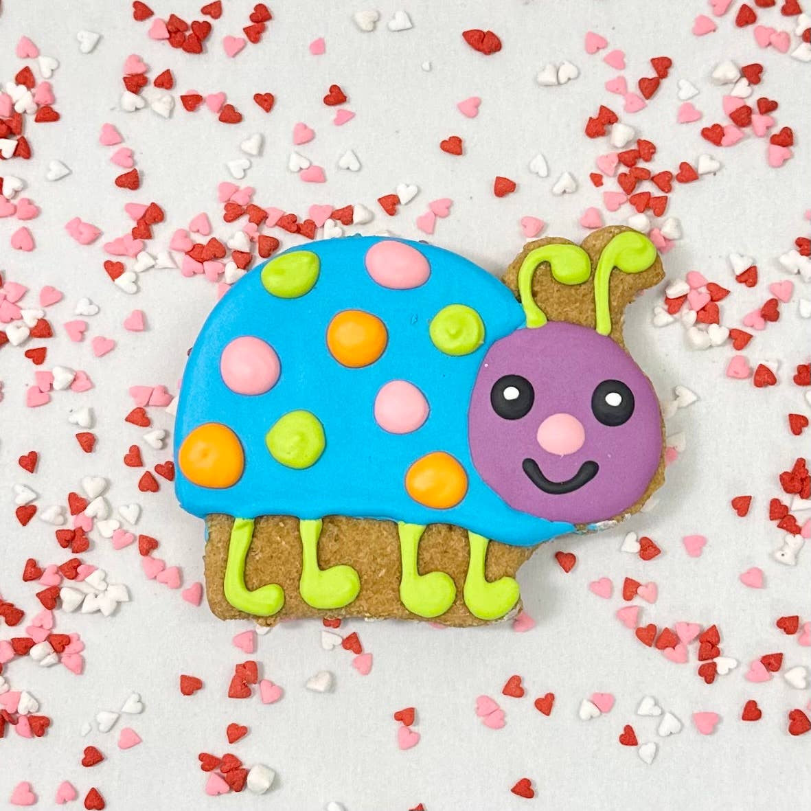 Colorburst Spring Bloom Collection: Neon Frog Cookie