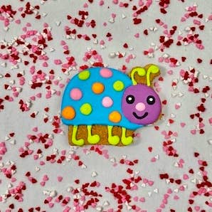 Colorburst Spring Bloom Collection: Neon Frog Cookie