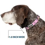 Buckle-Down Dog Collar 15”-26” Minnie Mouse